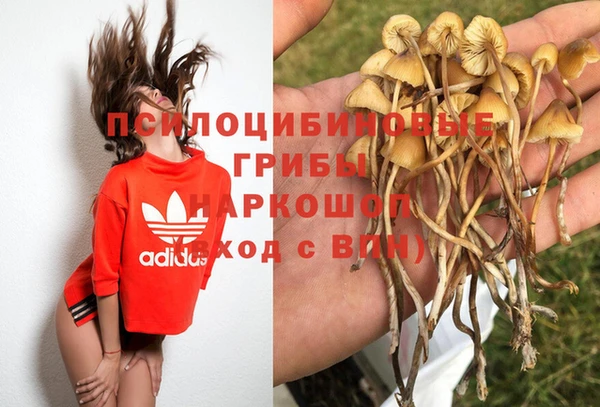 Альфа ПВП Армянск