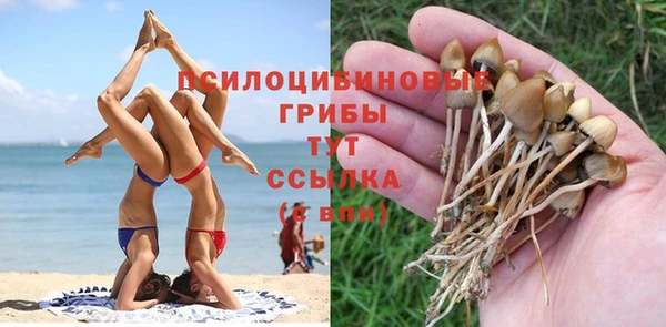 мдпв Мегион