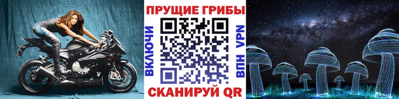 Галлюциногенные грибы GOLDEN TEACHER  Новороссийск 